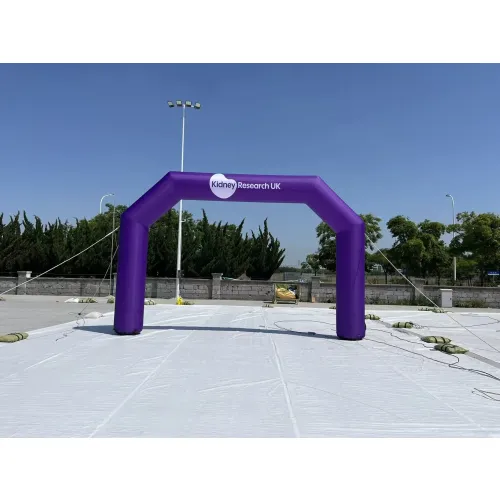 8m Inflatable Arches